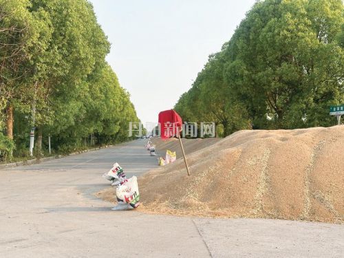 别把公路当晒场 文明晾晒才安心