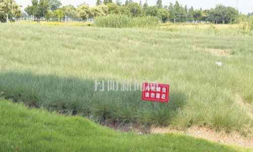 逛公园、去踏青，小心蜱虫叮咬！