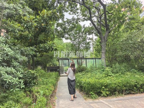 现实版“愤怒小鸟”出没领秀花都 多名小区居民遭飞鸟俯冲啄击