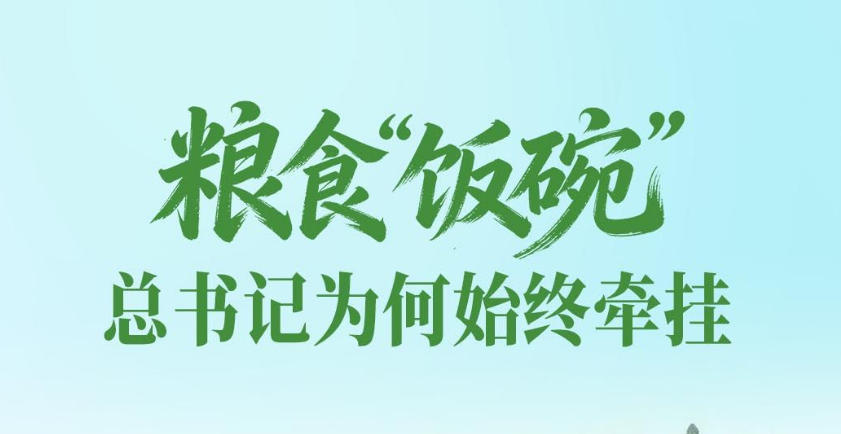 一见·粮食“饭碗”，总书记为何始终牵挂