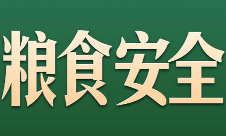 习言道｜走到田间地头，总书记说完夏粮说秋粮