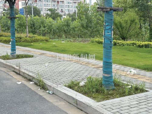 志德路通车后陷保洁“真空”