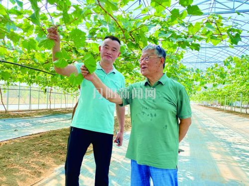 “赵老，我们田埂上的‘自家人’”