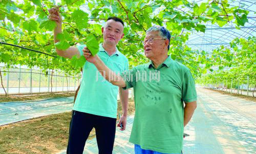 “赵老，我们田埂上的‘自家人’”