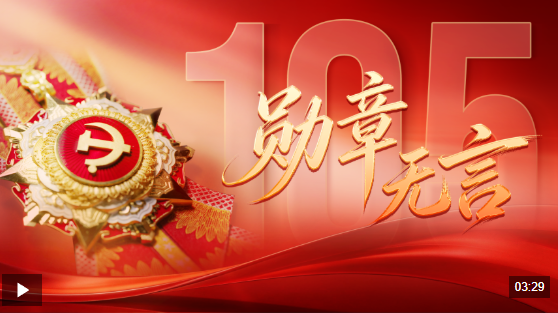 大党丨勋章无言