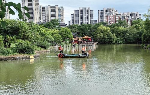 集中清理水草 守护碧水清波
