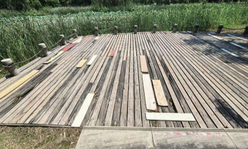丹凤公园荷花池步道破损盼全面修缮