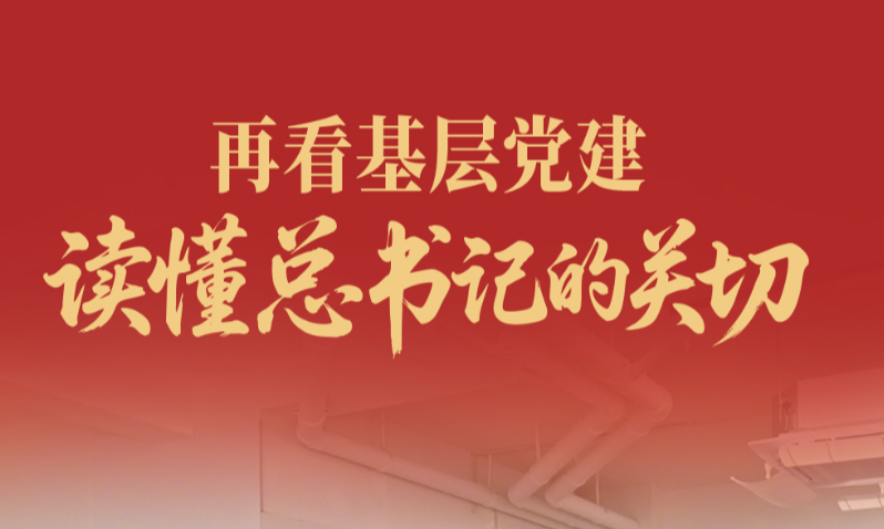 一见·再看基层党建，读懂总书记的关切