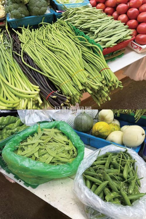 豆角大量上市 食用注意安全