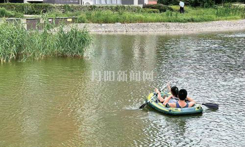 小区景观池变身“划船场”，隐患重重！