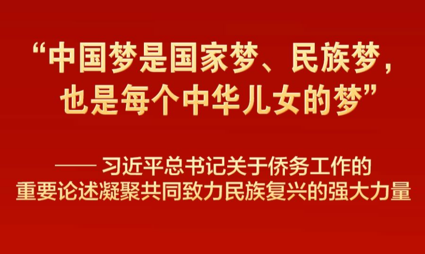 习近平总书记重要论述凝聚共同致力民族复兴强大力量
