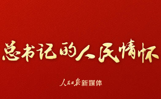 总书记的人民情怀｜“坚持高质量发展要成为领导干部政绩观的重要内容”