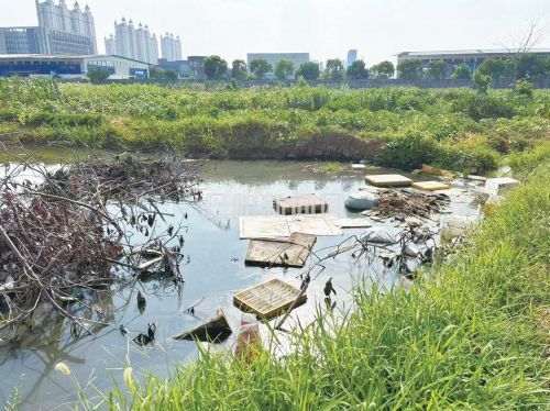 恒大城小区西侧菜地现“垃圾山” 毗邻池塘遭污染