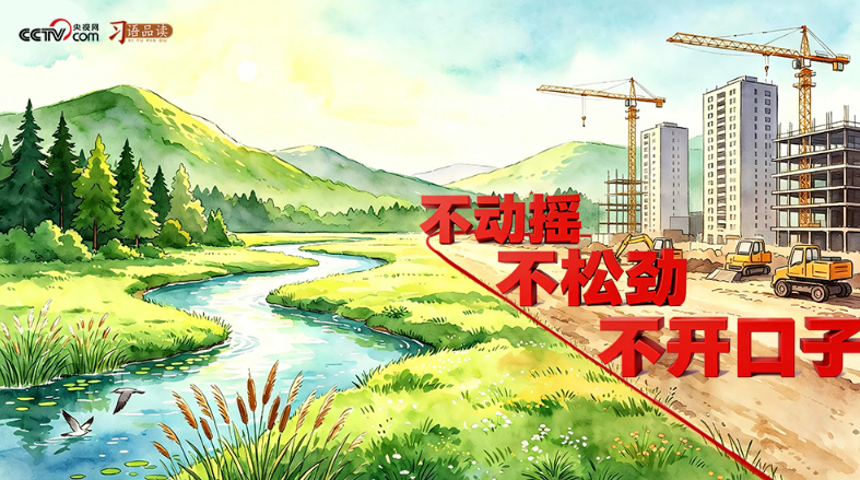 和谐共生｜不动摇、不松劲、不开口子
