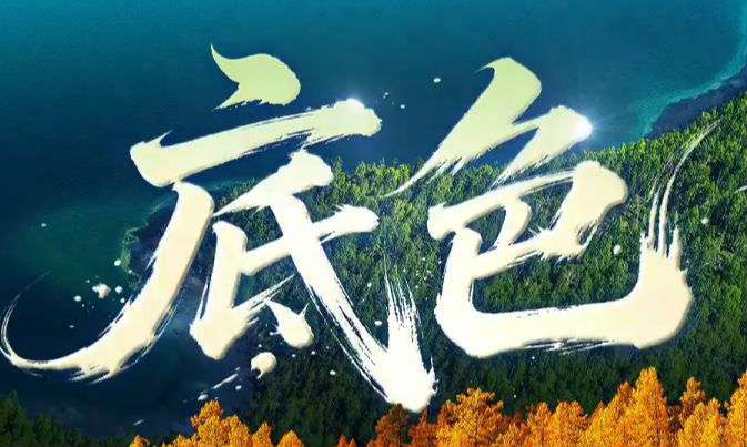 和谐共生｜底色