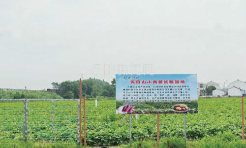 横塘村特色种养绘就乡村全面振兴新图景