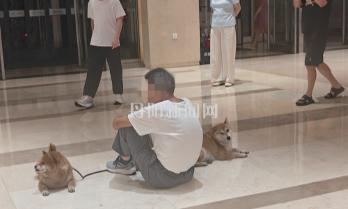 公共空间如何兼顾清凉与文明？