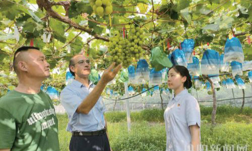 金融知识进果园 普惠服务在身边
