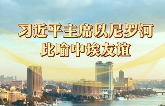 习近平主席以尼罗河比喻中埃友谊