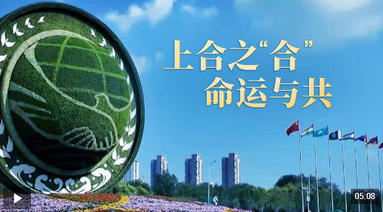 大道行丨上合之“合” 命运与共