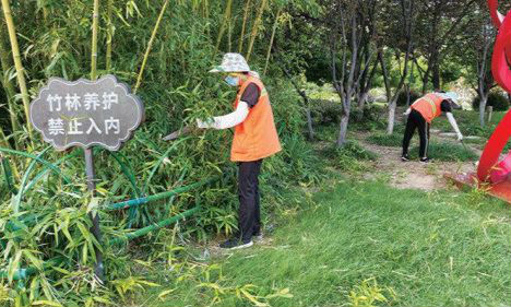 精细养护竹林景观 擦亮广场生态底色