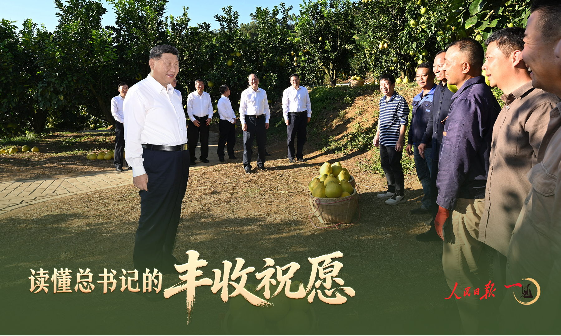 一见·读懂总书记的丰收祝愿
