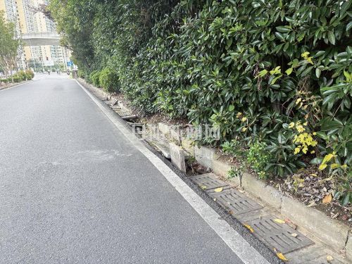 路边井盖缺损多 存隐患亟待维修