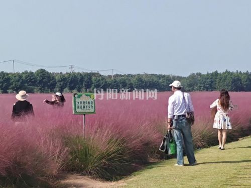 烟霞漫野粉黛俏 文明赏花成新风