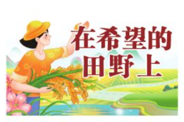 秋收临近，探田问粮话农事