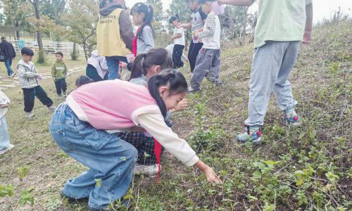 访仙中心小学开展秋季研学活动