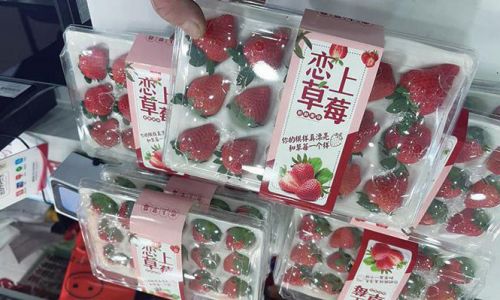 草莓抢先上市 市民开启“莓”好时光