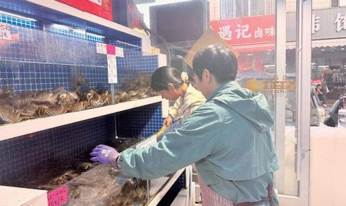 本地大闸蟹集中上市 蟹价回落尝鲜正当时