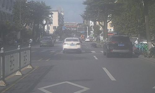 路遇老人意外摔倒 公交司机暖心施救