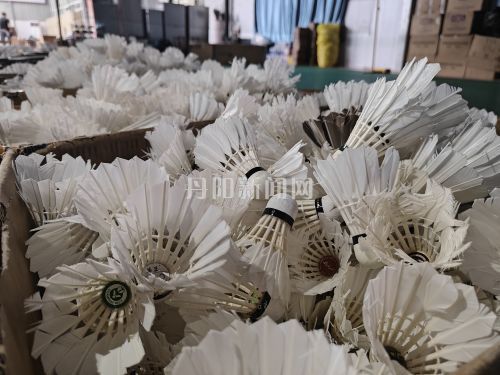 (新媒体3)羽毛球“轻装上阵”,球友打球成本下降素材1